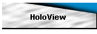 HoloView